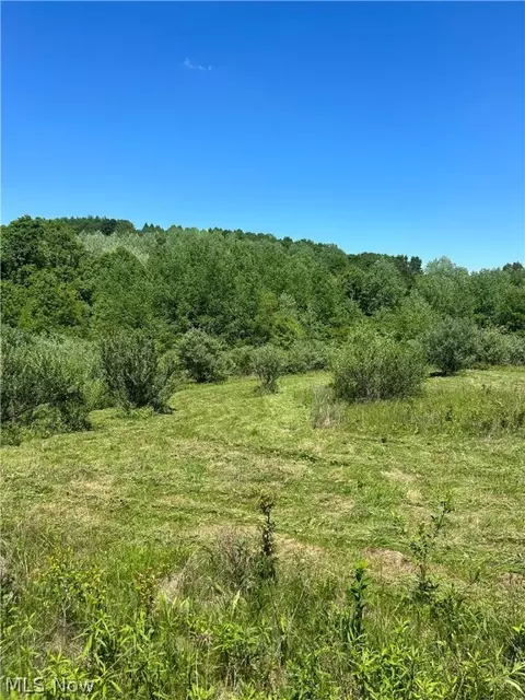 20500 Speck Rd, Freeport, OH 43973 photo 5