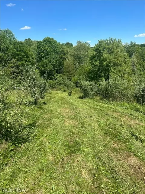 20500 Speck Rd, Freeport, OH 43973 photo 6
