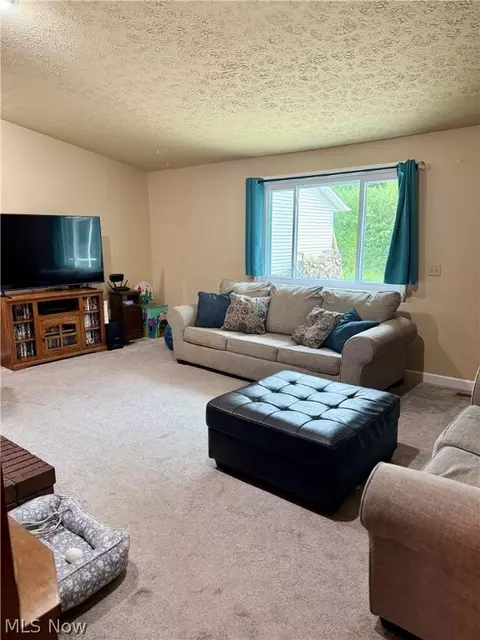 7199 Murray Ridge Rd, Elyria, OH 44035 photo 14