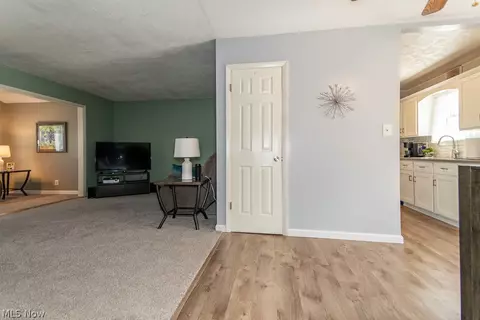 30144 Ridgeview Dr, Wickliffe, OH 44092 photo 34