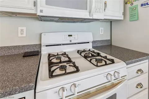 4471 Lake Rd E, Geneva, OH 44041 photo 29