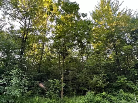 Western Reserve Road, Berlin Center, OH 44401