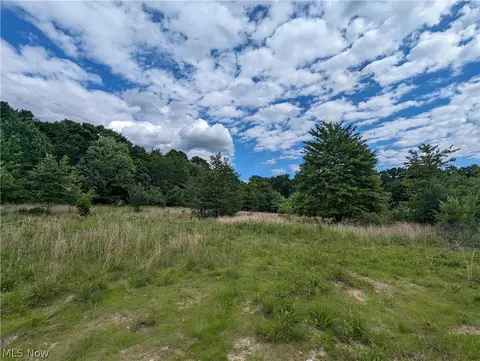 Wolf Run Rd Se, Bloomingdale, OH 43910