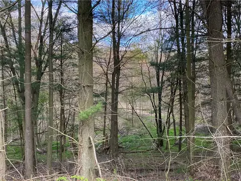 31335 Mckaig Rd, Hanoverton, OH 44423
