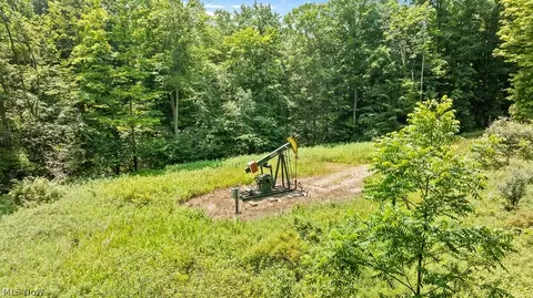 Other - 9712 Nichols Rd, Windham, OH 44288 photo 21 of 21