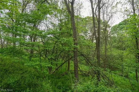 187 St Rt 152, Dillonvale, OH 43917 photo 36