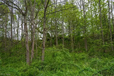 187 St Rt 152, Dillonvale, OH 43917 photo 29