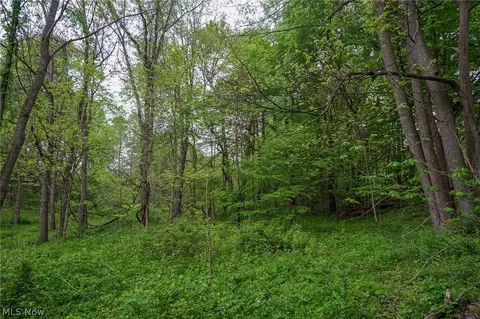 187 St Rt 152, Dillonvale, OH 43917 photo 42
