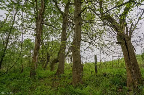 187 St Rt 152, Dillonvale, OH 43917 photo 35