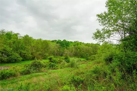 187 St Rt 152, Dillonvale, OH 43917 photo 24