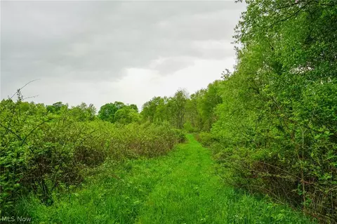 187 St Rt 152, Dillonvale, OH 43917 photo 32