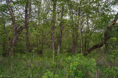 187 St Rt 152, Dillonvale, OH 43917 photo 33