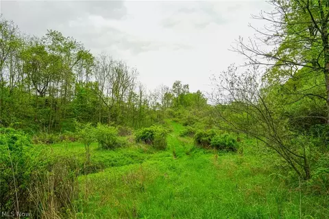 187 St Rt 152, Dillonvale, OH 43917 photo 28