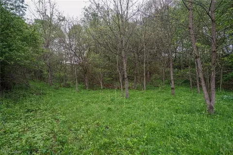 187 St Rt 152, Dillonvale, OH 43917 photo 40