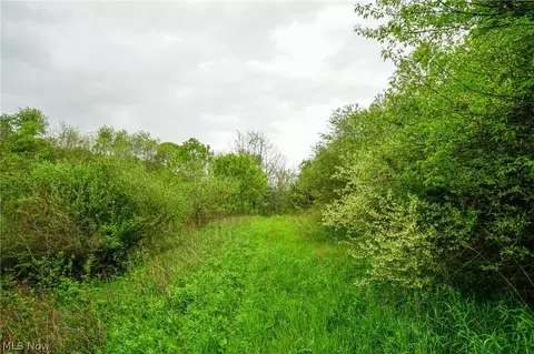 187 St Rt 152, Dillonvale, OH 43917 photo 26