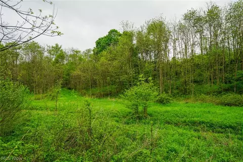 187 St Rt 152, Dillonvale, OH 43917 photo 27