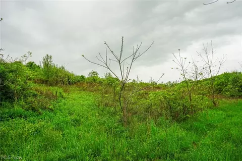 187 St Rt 152, Dillonvale, OH 43917 photo 30