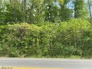 56 Twinsburg, Northfield Center, OH 44067