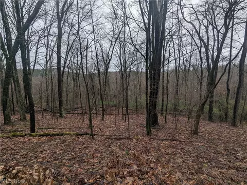 Overture Road Ne, Mechanicstown, OH 44651