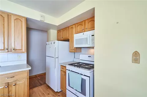 30212 Robert St, Wickliffe, OH 44092 photo 20
