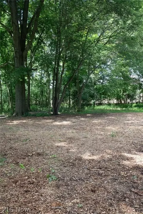 Other - 7350 Hitchcock Rd, Boardman, OH 44512 photo 8 of 9