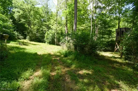 Township Rd 138, Plainfield, OH 43836 photo 8