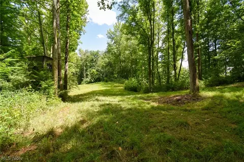 Township Rd 138, Plainfield, OH 43836 photo 14