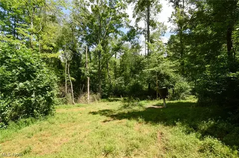 Township Rd 138, Plainfield, OH 43836 photo 9