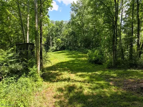 Township Rd 138, Plainfield, OH 43836 photo 3