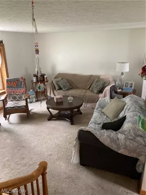 9924 Blanton Dr, Windham, OH 44288 photo 2