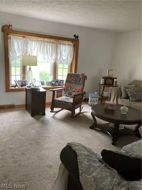 9924 Blanton Dr, Windham, OH 44288 photo 3