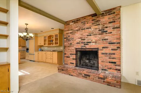 5485 Park Side Trl, Solon, OH 44139 photo 17