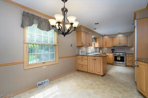 5485 Park Side Trl, Solon, OH 44139 photo 16