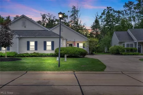 10683 Crossings Dr, Reminderville, OH 44202