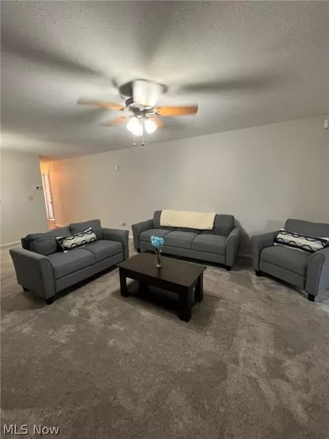 8945 W Ridge Rd, Elyria, OH 44035 photo 19