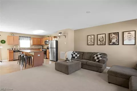 390 Celia Ln, Madison, OH 44057 photo 10