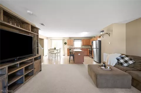 390 Celia Ln, Madison, OH 44057 photo 13