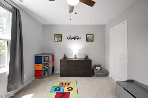 390 Celia Ln, Madison, OH 44057 photo 26