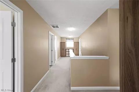 390 Celia Ln, Madison, OH 44057 photo 17