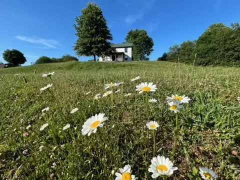 60 Zona Dr, Summersville, WV 26651