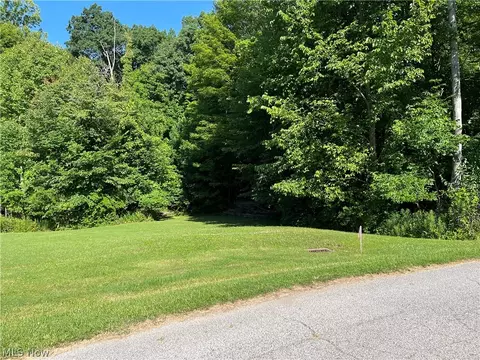 Buttonwood Lane, Ashtabula, OH 44004 photo 3