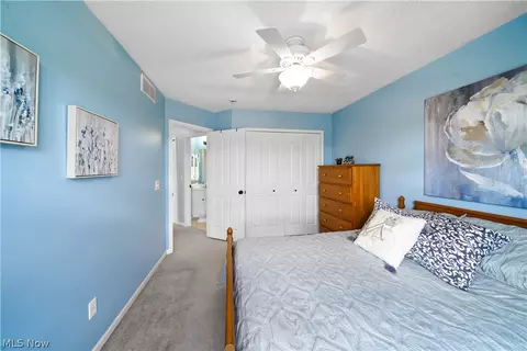 4103 Morley Dr, Aurora, OH 44202 photo 29