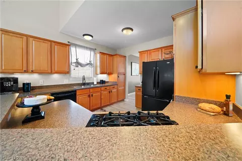 4103 Morley Dr, Aurora, OH 44202 photo 15