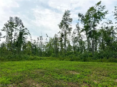 Gane Road, Williamsfield, OH 44093 photo 16