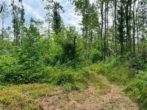 Gane Road, Williamsfield, OH 44093 photo 17
