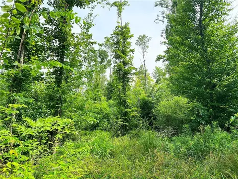 Gane Road, Williamsfield, OH 44093 photo 10