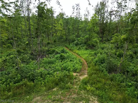 Gane Road, Williamsfield, OH 44093 photo 24