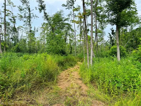 Gane Road, Williamsfield, OH 44093 photo 15