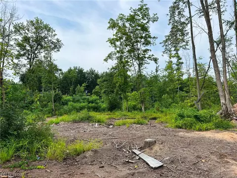 Gane Road, Williamsfield, OH 44093 photo 18