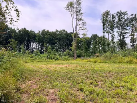 Gane Road, Williamsfield, OH 44093 photo 19